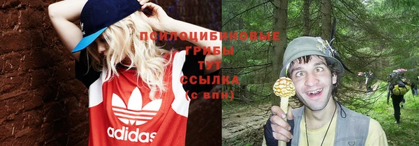 альфа пвп Баксан