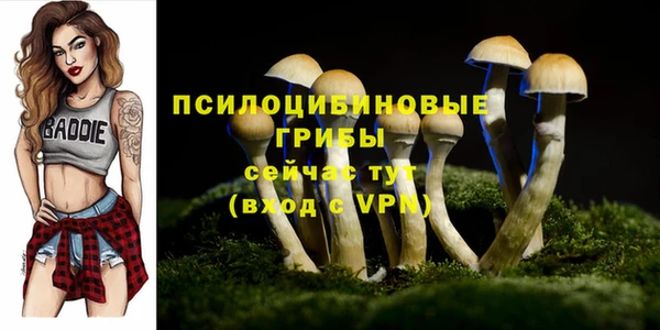 альфа пвп Баксан