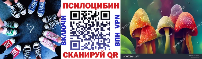 Псилоцибиновые грибы Cubensis  мега ссылки  Ульяновск 